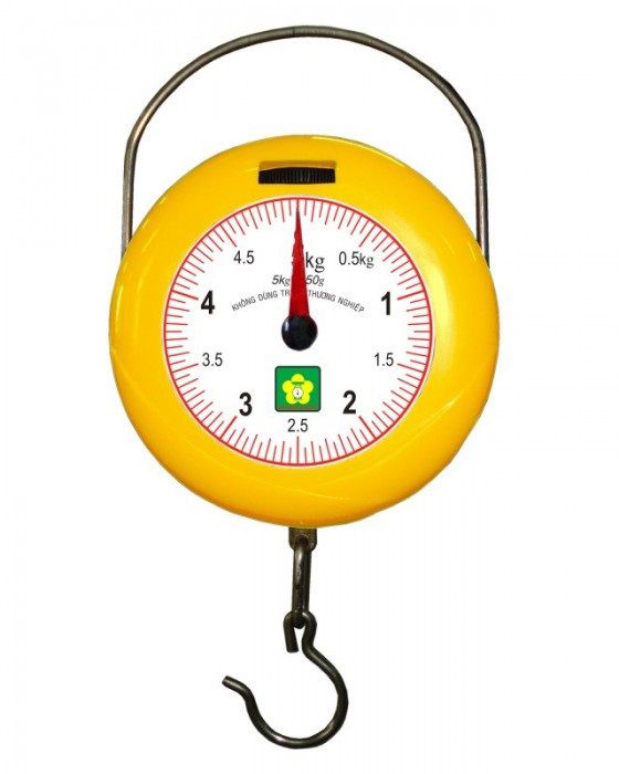 can-treo-mini-nhon-hoa-5kg-nhmgs-5-3